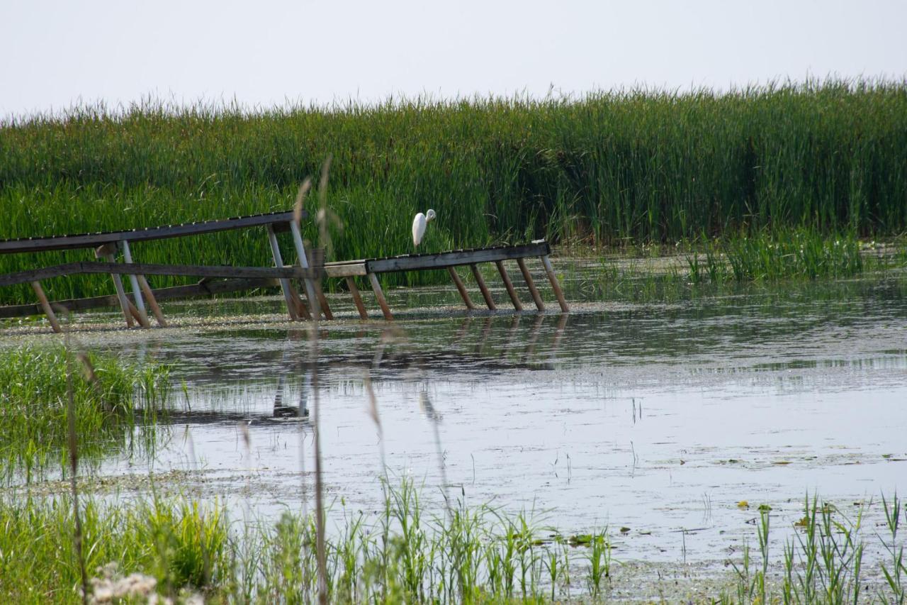 Lakeview & Wildlife Au Gres Zewnętrze zdjęcie